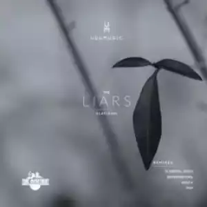 Udumusic, Hlayisani - The Liars(Demented Soul Imp5 Afro Mix)